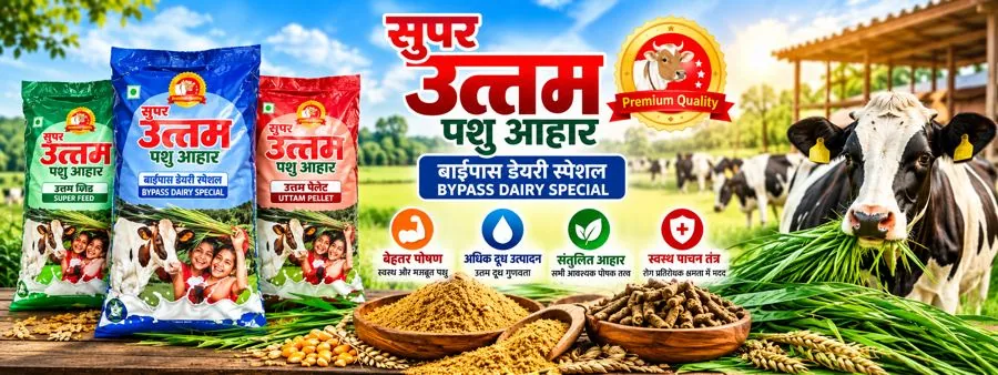 Bypass Dairy Special Campaign