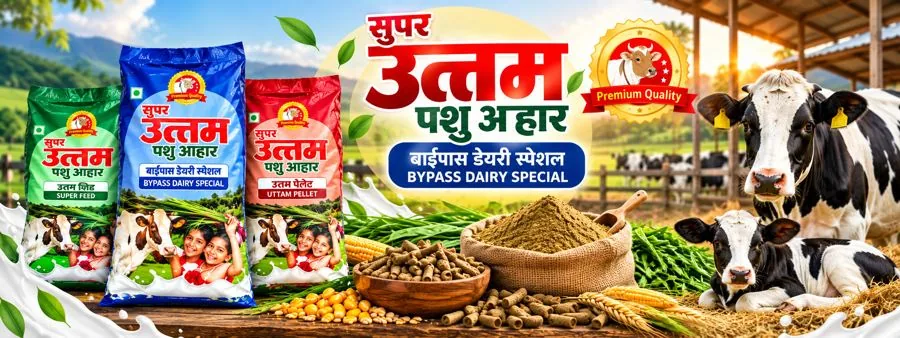 Our Premium Quality Promise