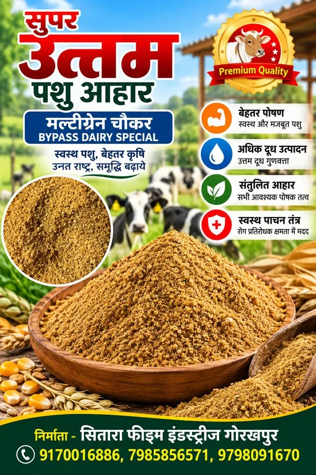 Multigrain Chokar Mash