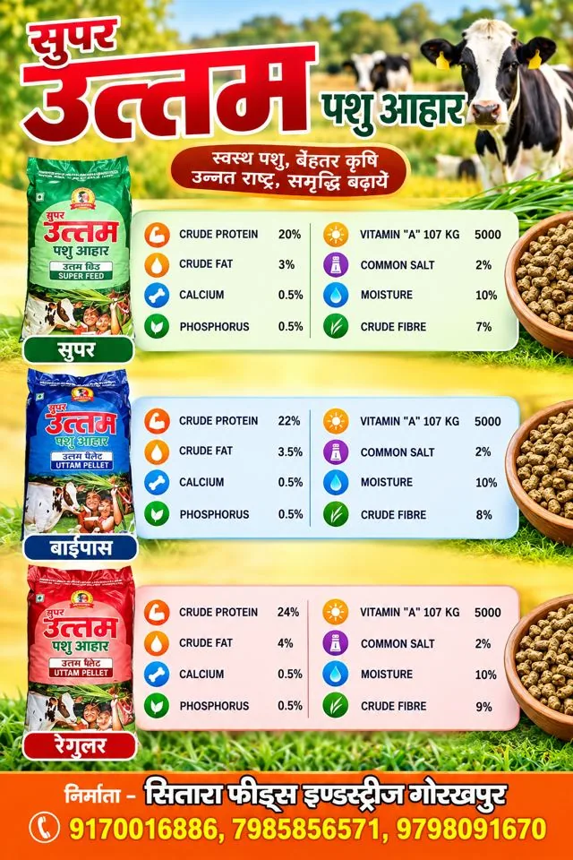 Nutrition at a Glance